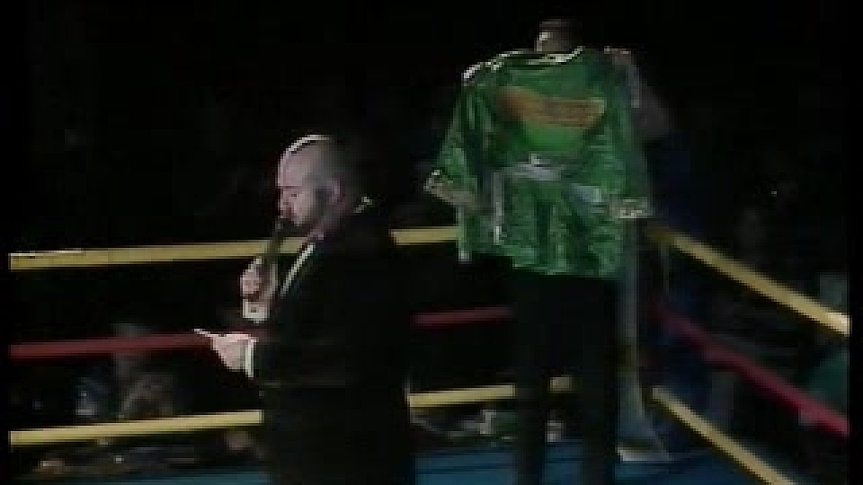 Foxy Boxing #5