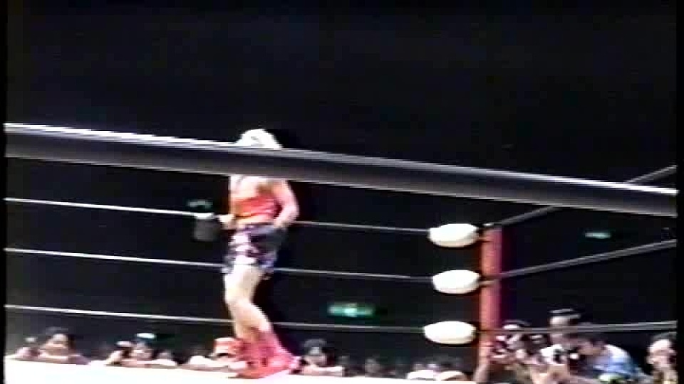 Boxer Vs Grappler 2